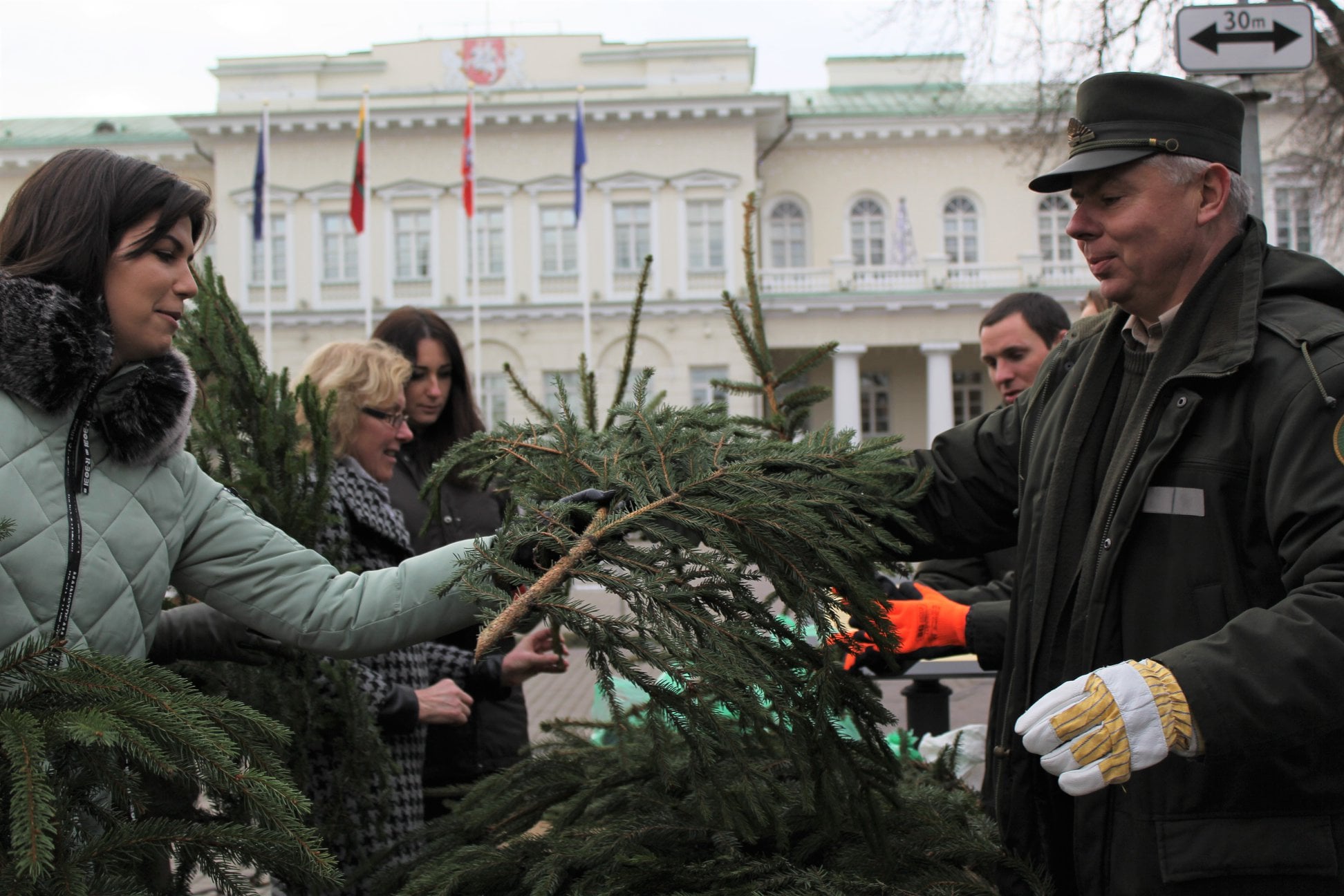 Kalėdų tradicija tęsiasi: miškininkai nemokamai dalins eglių ir pušų šakas