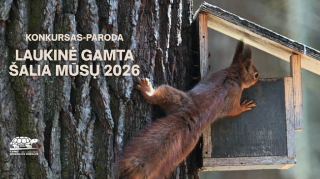 Kauno Tado Ivanausko zoologijos muziejus kviečia įamžinti laukinę gamtą šalia mūsų ir dalyvauti fotografijos konkurse