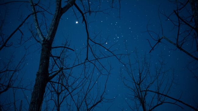 Nuo Mumbajaus iki Lietuvos: VU mokslininkė – apie žvaigždžių tyrimus, astronomiją ir kelią į mokslą