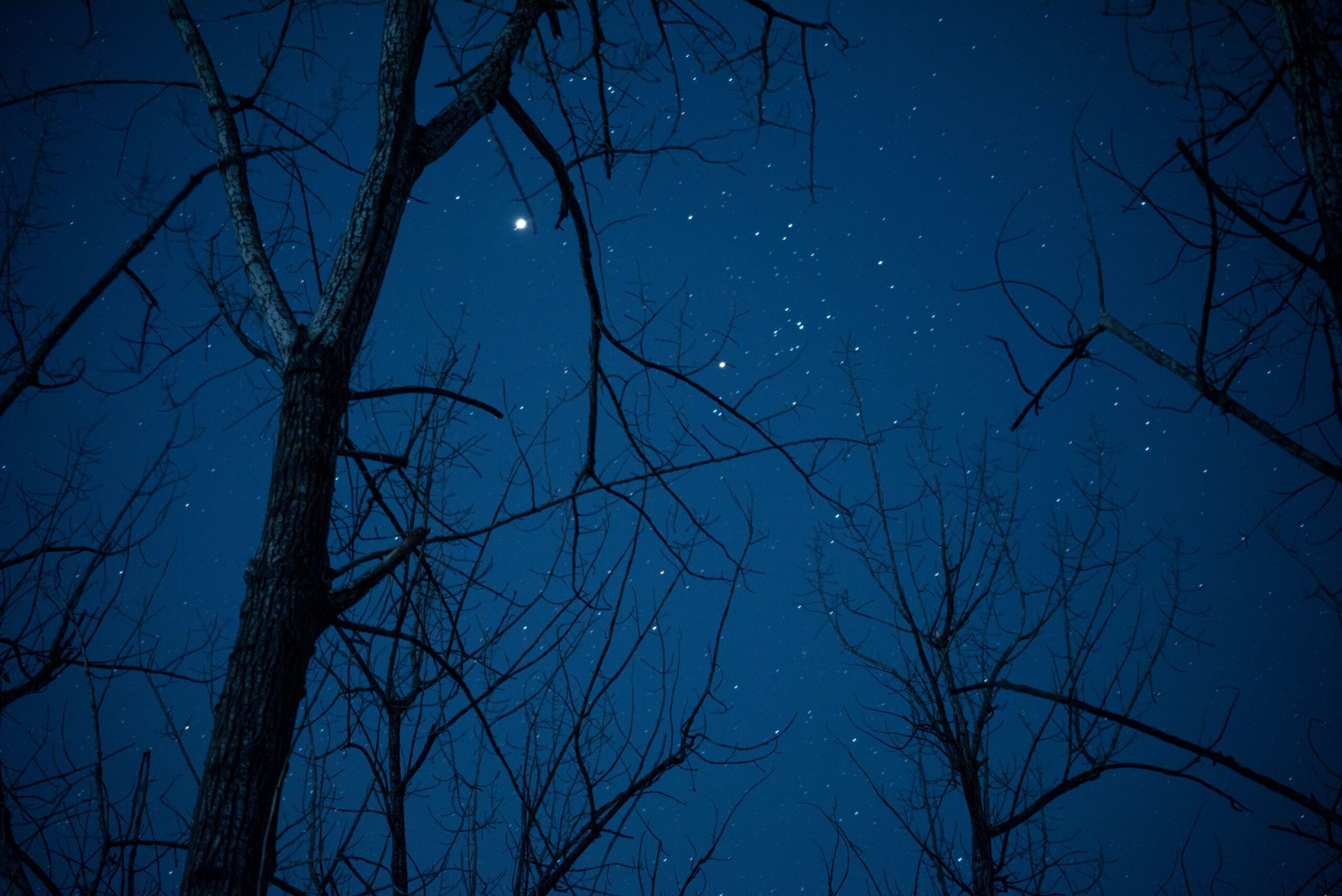 Nuo Mumbajaus iki Lietuvos: VU mokslininkė – apie žvaigždžių tyrimus, astronomiją ir kelią į mokslą